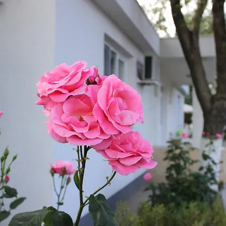 Hanul Piratilor Village