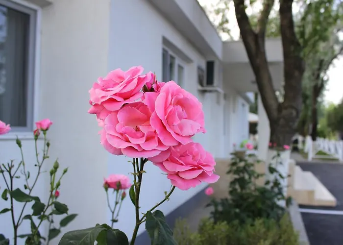 Hanul Piratilor Village