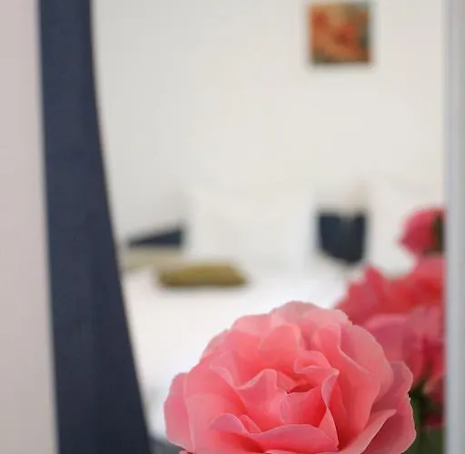 مكان تخييم Hanul Piratilor Village